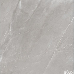 Gres venezia grey polished 60x60 gat i marki Netto plus - ogłoszenia A6.pl
