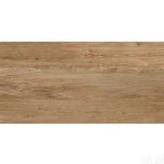 Roverwood natural matt 120x60 gat.i marki Netto plus - ogłoszenia A6.pl