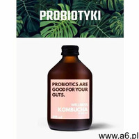 Wellness Kombucha Imbir / Dieta sokowa / Detoks sokowy (5903678080723) - ogłoszenia A6.pl