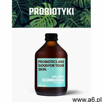 Nuja Wellness kombucha kolendra / dieta sokowa / detoks sokowy (5903678080730) - ogłoszenia A6.pl