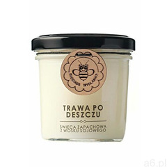 Miodowa mydlarnia trawa po deszczu świeca zapachowa z wosku sojowego 120ml naturalna - ogłoszenia A6.pl