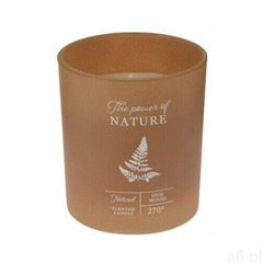 Świeczka w szkle The power of nature Oud wood, 10 x 8,8 cm, 694314 - ogłoszenia A6.pl