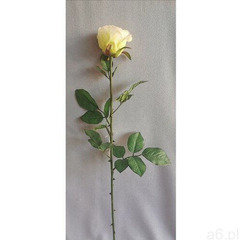 Sztuczna róża, biały, 69 cm - ogłoszenia A6.pl
