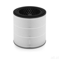 Philips Fy0293/30 filtr (8710103954163) - ogłoszenia A6.pl