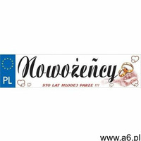Dp Tablica rejestracyjna tekturowa - 50 x 12 cm - 1 szt. (5907509909092) - ogłoszenia A6.pl