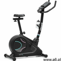 Zipro Flame WM Iconsole - ogłoszenia A6.pl