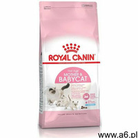 4/10 kg Royal Canin Kitten + 12 x 85/195 g karmy mokrej w super cenie! - Mother & Babycat, 4 - ogłoszenia A6.pl