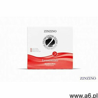 LeanShake Strawberry (whey) - box with 16 (30 g), ZINZINO-019 - ogłoszenia A6.pl