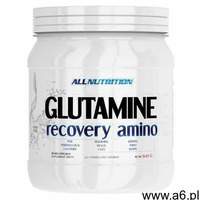 ALLNUTRITION Glutamine Recovery Amino 500g - ogłoszenia A6.pl
