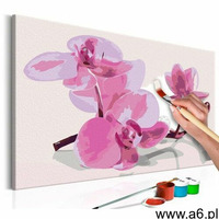 Obraz do samodzielnego malowania - kwiaty orchidei marki Artgeist - ogłoszenia A6.pl