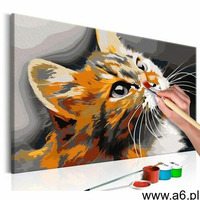 Artgeist Obraz do samodzielnego malowania - rudy kot - ogłoszenia A6.pl
