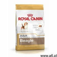 Royal Canin Dog Beagle Adult sucha karma dla psa waga 12 kg (3182550821773) - ogłoszenia A6.pl