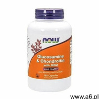 Glucosamine & chondroitin msm x 180 kapsułek - ogłoszenia A6.pl