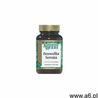 Swanson boswellia serrata ekstrakt x 120 kapsułek marki Swanson health products - ogłoszenia A6.pl