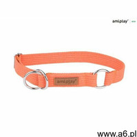 obroża półzaciskowa cotton xxl pomarańczowy - pomarańczowy \ xxl 45-85 cm marki Amiplay - ogłoszenia A6.pl