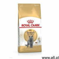 british shorthair adult 2kg - 2kg marki Royal canin - ogłoszenia A6.pl
