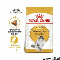 ROYAL CANIN Norvegien 20 kg (2 x 10 kg) karma sucha dla kotów dorosłych rasy norweski leśny - DARMOW - ogłoszenia A6.pl