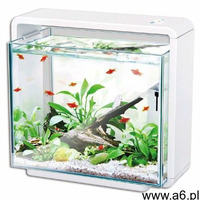 Hailea Akwarium 40l e40 białe oświetlenie led + filtr - ogłoszenia A6.pl